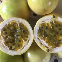 百香果正宗价格美丽