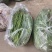 正品豆角厂家直销诚信经营