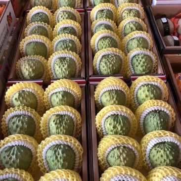 释迦精品正品保障随时可聊