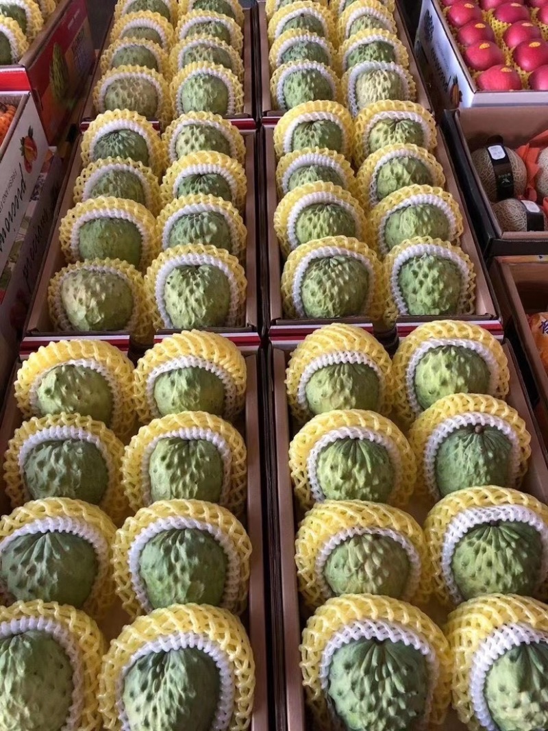 释迦精品正品保障随时可聊