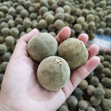 橘红果