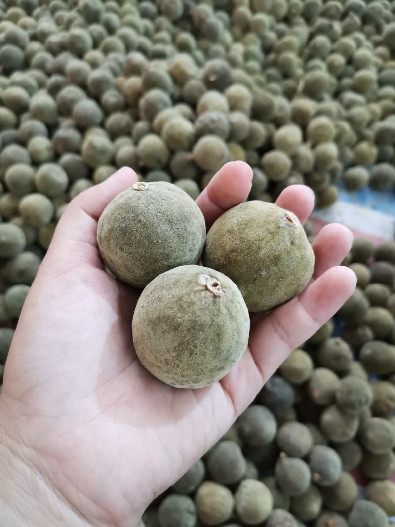 橘红果
