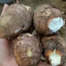天然新鲜芋头支持拿样量大优惠
