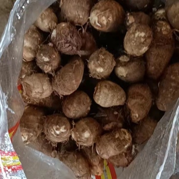 精品芋头长期供应价格美丽