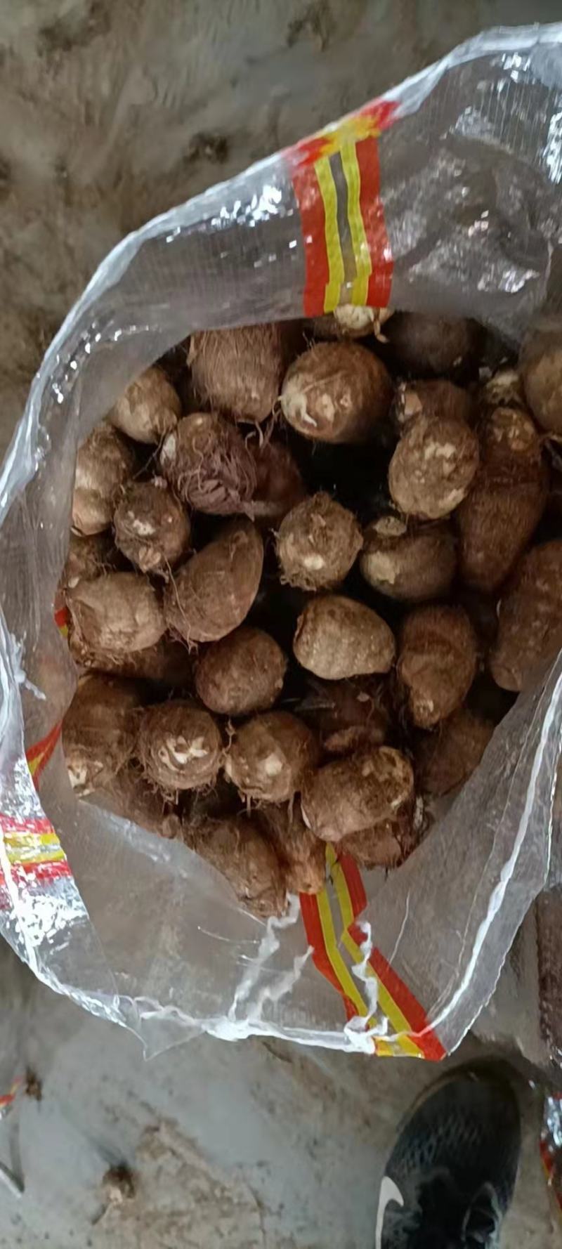 精品芋头长期供应价格美丽