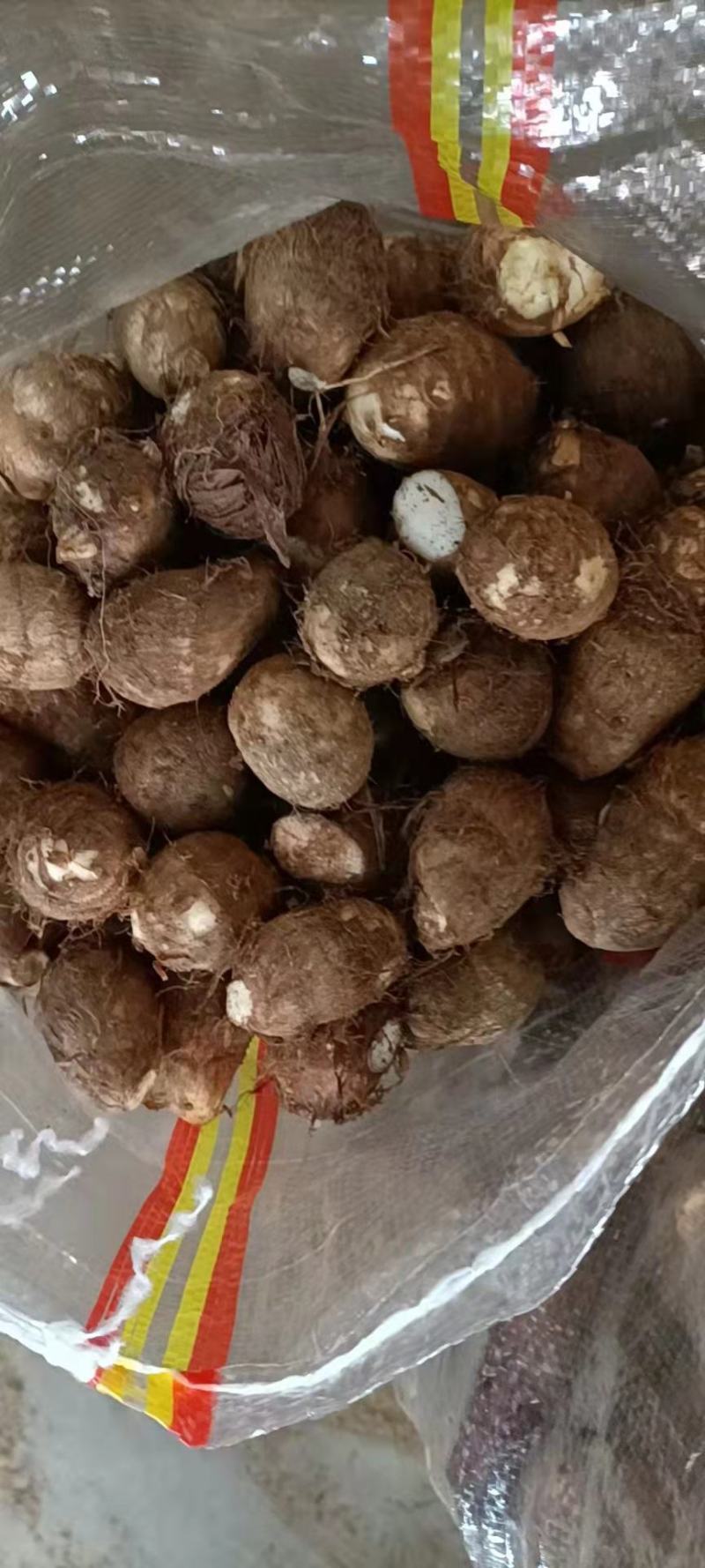 天然新鲜芋头一手货源全网低价