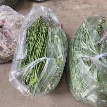 源头供应豆角***量大优惠