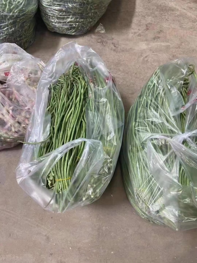 源头供应豆角***量大优惠