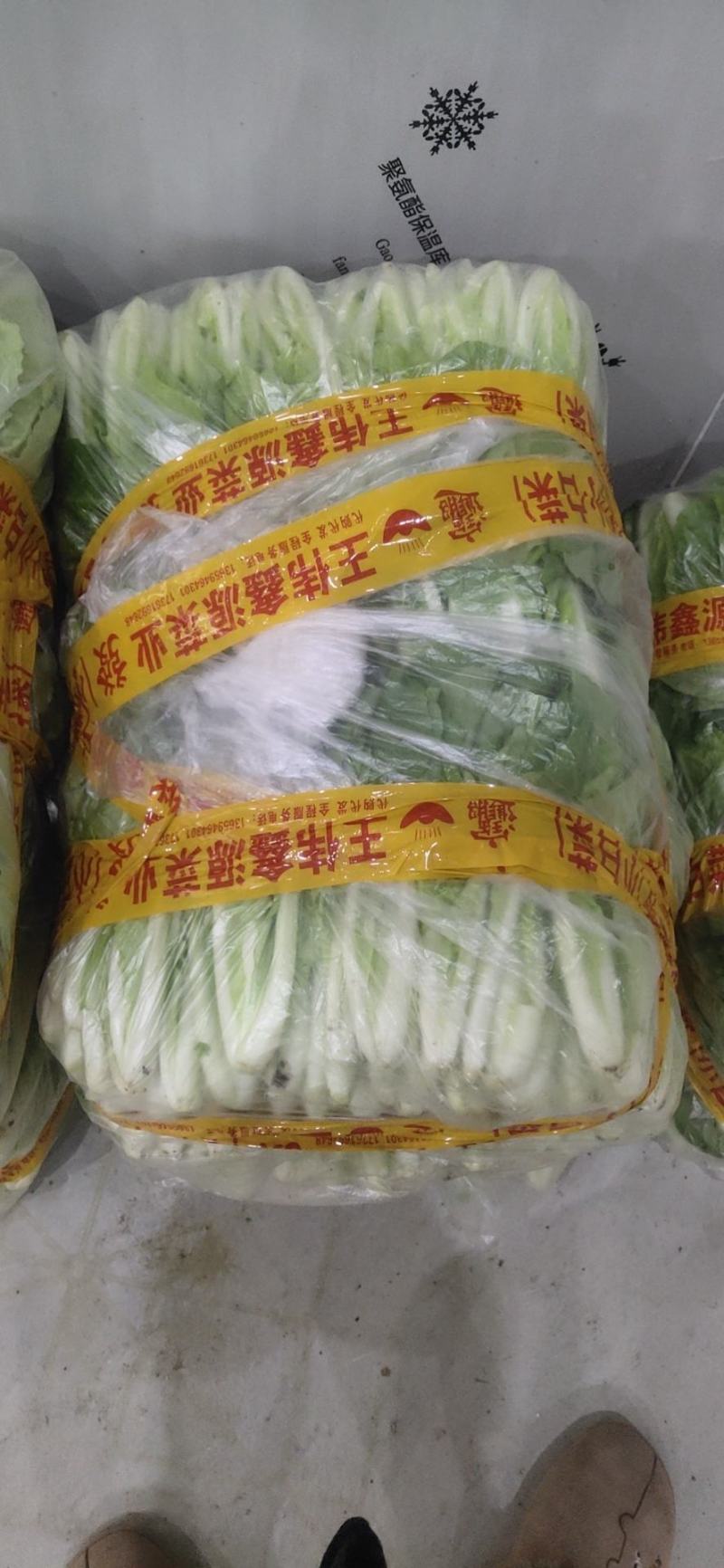 精品陆地小白菜可供商超全国可发货量大从优产地直销