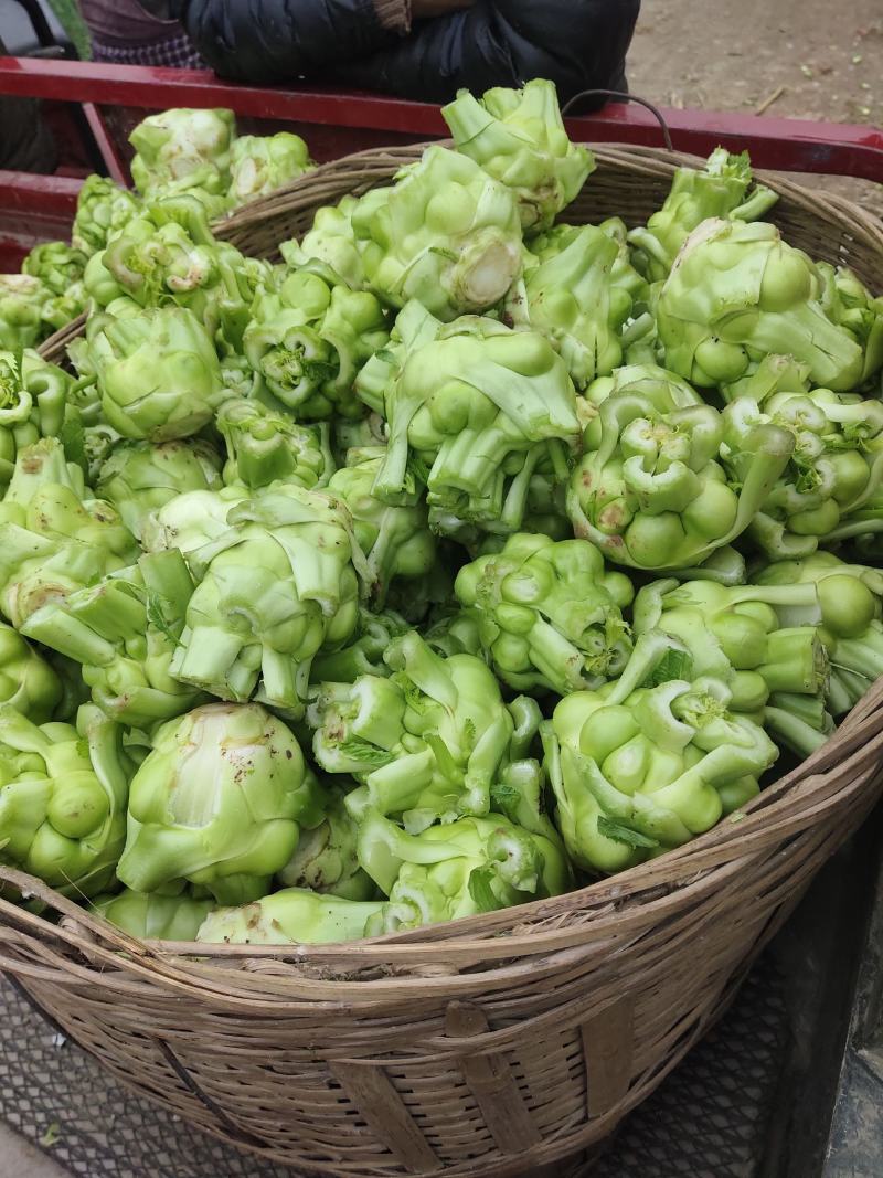 天然新鲜榨菜电商供货价格美丽