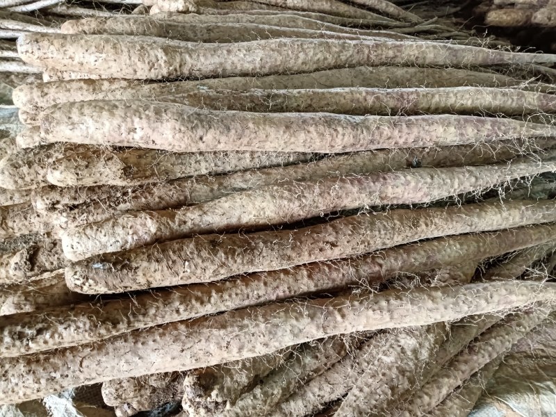 精品山药长期有货全网低价