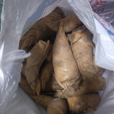 正品保障冬笋产地直发欢迎联系
