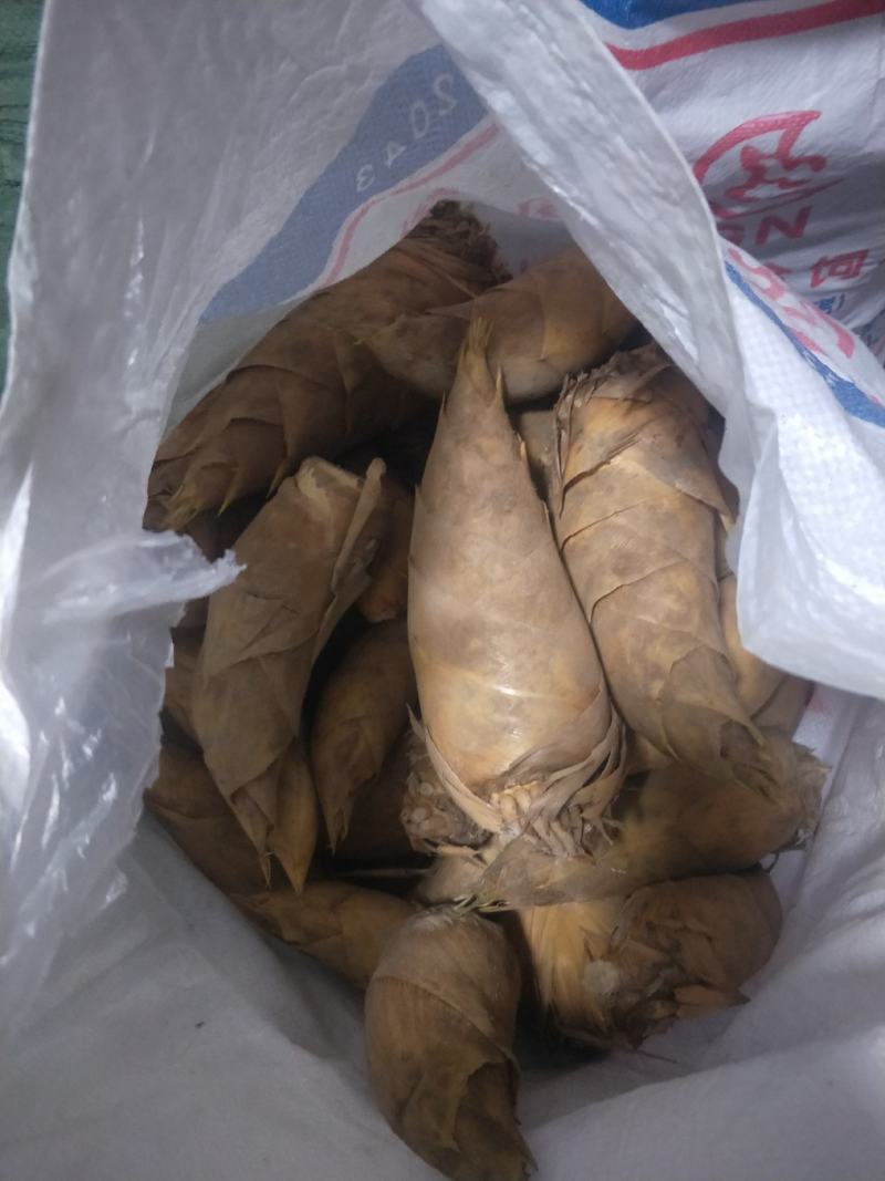 正品保障冬笋产地直发欢迎联系