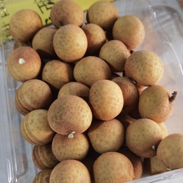 应季龙眼长期供货价格美丽