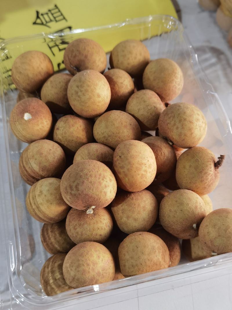 应季龙眼长期供货价格美丽