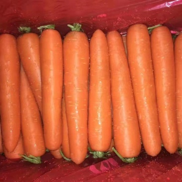 正品保障胡萝卜产地直发方便快捷
