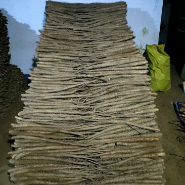 正品保障山药应季供应量大从优