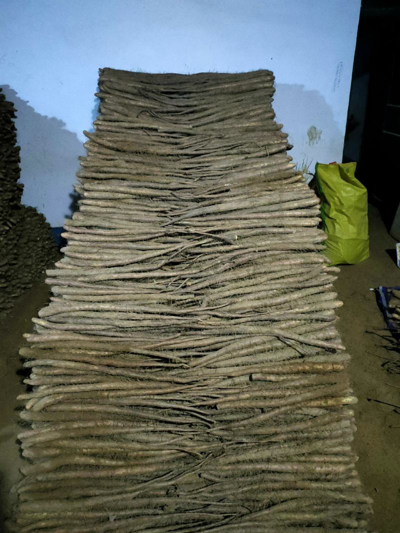 正品保障山药应季供应量大从优