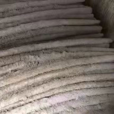 天然新鲜山药长期有货量大从优