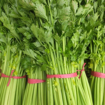 保质保量原产地芹菜订多包送