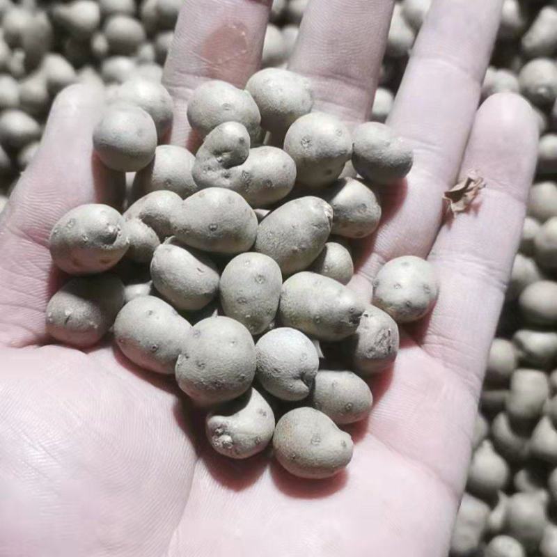 正品山药豆厂家直销诚信经营