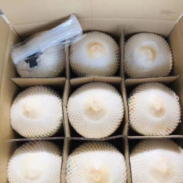 产地直发椰子正品保障
