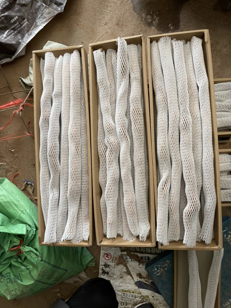 天然新鲜山药现货秒发超高性价比