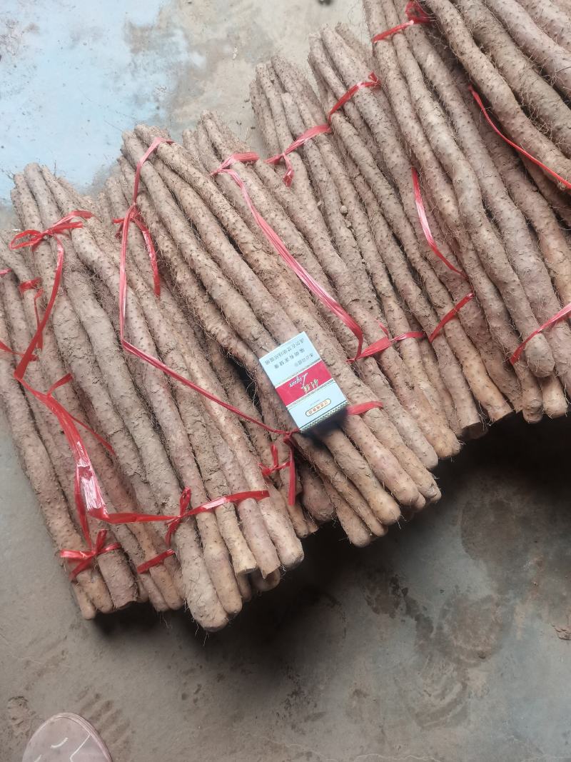 天然新鲜山药支持拿样量大优惠