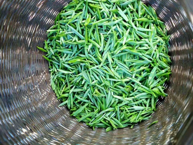 诚信经营山茶