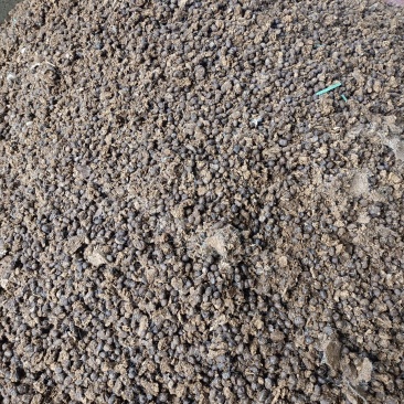 羊粪纯羊粪，价格美丽欢迎大家选购！基地直供