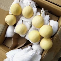 梨自家基地量大从优