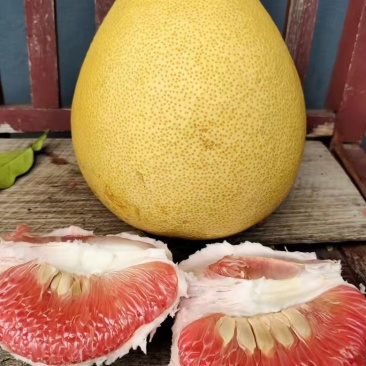 柚子全网低价长期供应