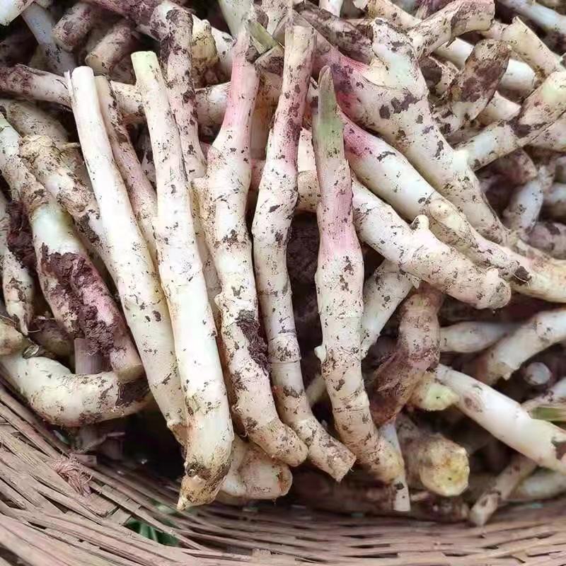 正品保障生姜电商供货欢迎联系