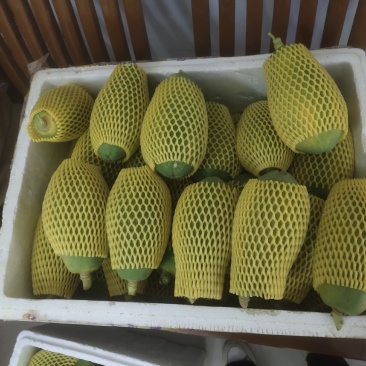 木瓜精品随时可聊