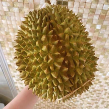 产地直发榴莲正品保障