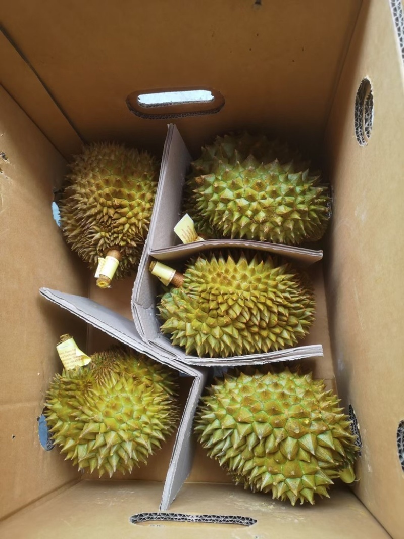 榴莲正宗长期有货诚信经营