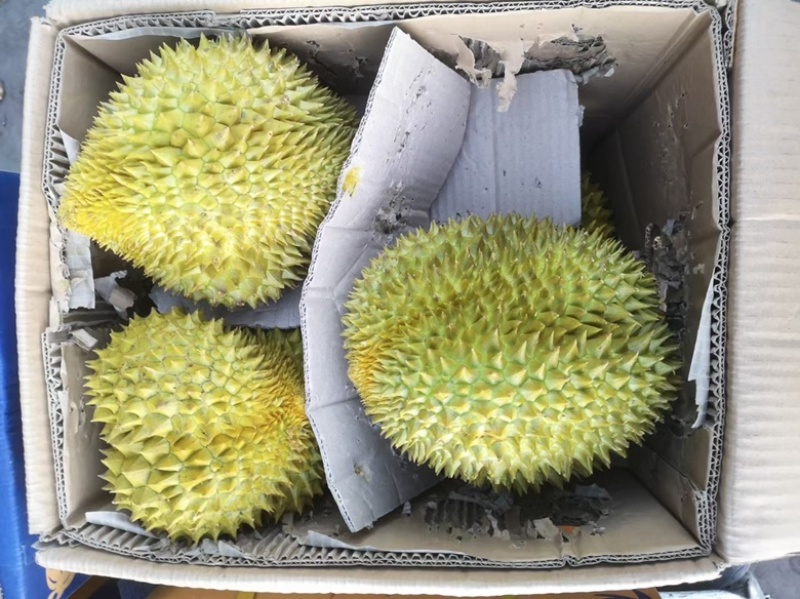 正品保障榴莲价格美丽