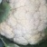 应季菜花现货秒发全国供应中