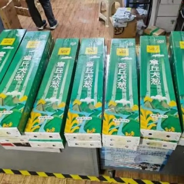 规格齐全大葱长期有货量大优惠