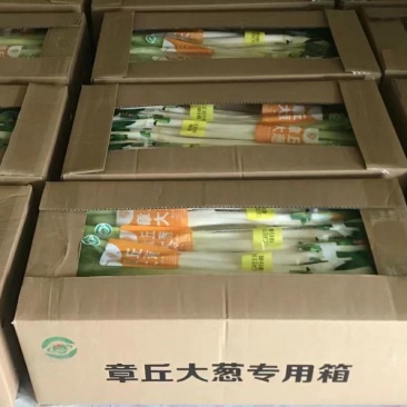 天然新鲜正宗大葱基地直发