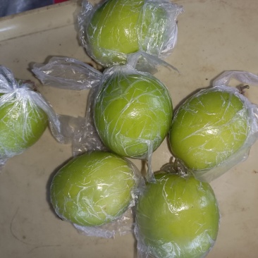 自家基地鲜枣孩子必吃