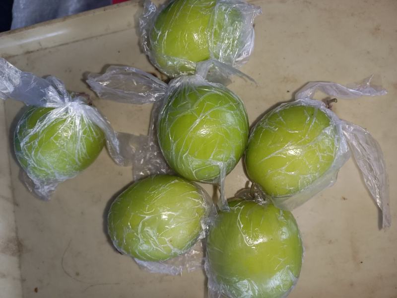 自家基地鲜枣孩子必吃