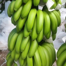 原产地香蕉长期供应量大从优