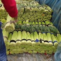 正宗蒜薹一手货源下单秒发