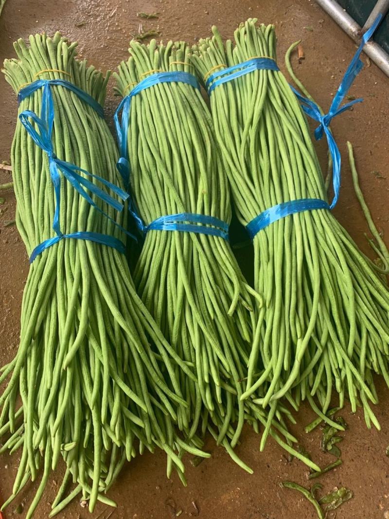 正宗全国直发天然新鲜豆角