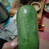 天然新鲜萝卜厂家直销24小时在线服务