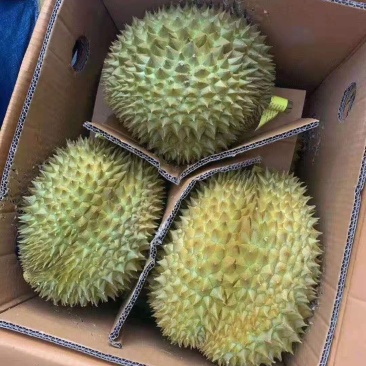 应季榴莲下单秒发
