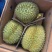 应季榴莲下单秒发