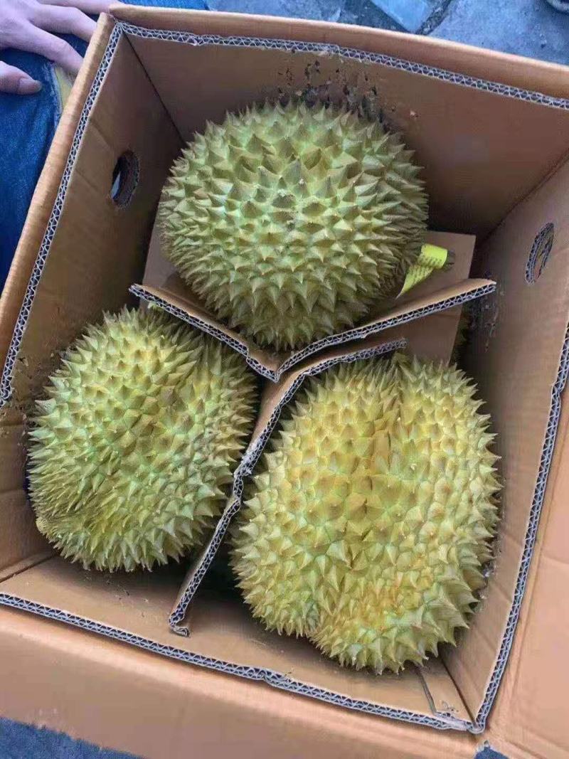 应季榴莲下单秒发