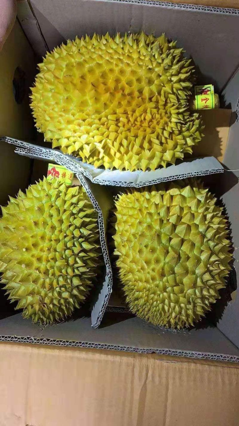 一手货源榴莲现货秒发